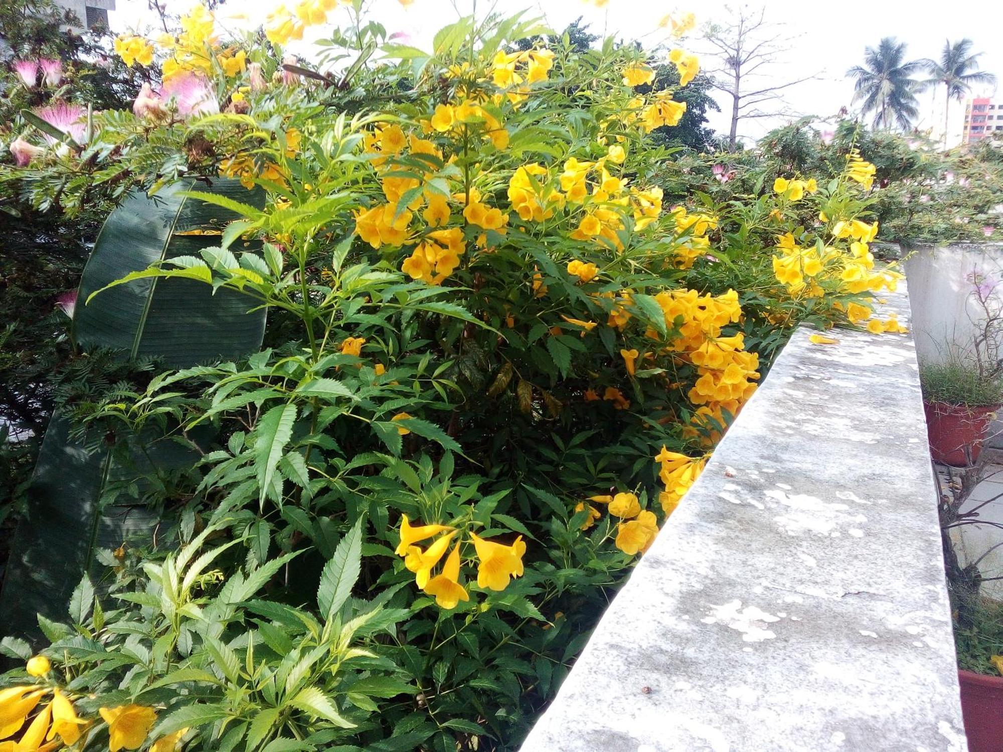 Villa Mango อาบีจาน ภายนอก รูปภาพ